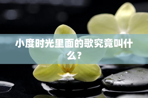 小度时光里面的歌究竟叫什么？