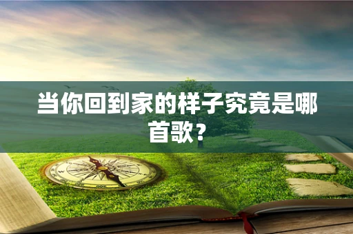 当你回到家的样子究竟是哪首歌？