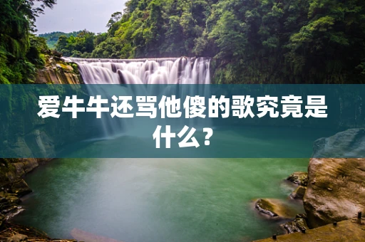 爱牛牛还骂他傻的歌究竟是什么？