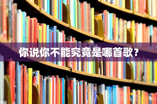 你说你不能究竟是哪首歌？