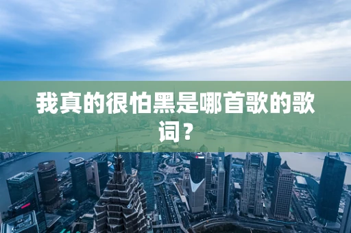 我真的很怕黑是哪首歌的歌词？
