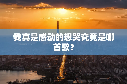 我真是感动的想哭究竟是哪首歌？