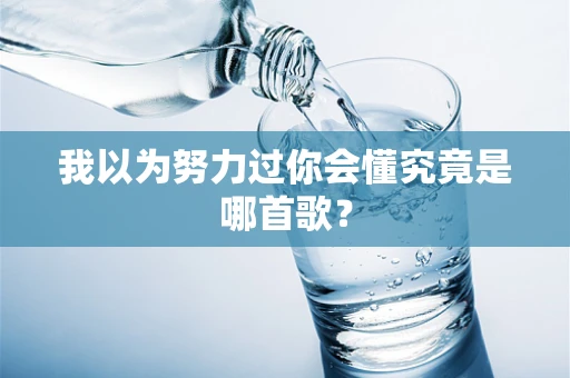 我以为努力过你会懂究竟是哪首歌？