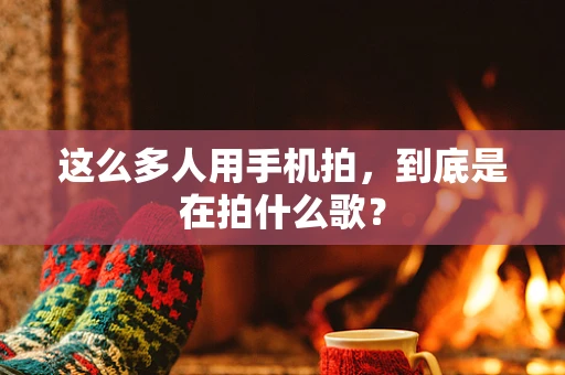 这么多人用手机拍，到底是在拍什么歌？