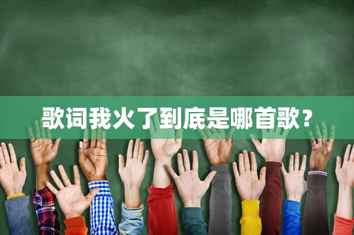 歌词我火了到底是哪首歌？