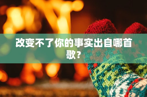改变不了你的事实出自哪首歌？