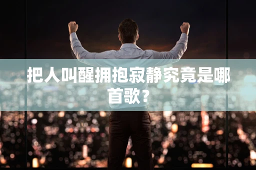 把人叫醒拥抱寂静究竟是哪首歌？