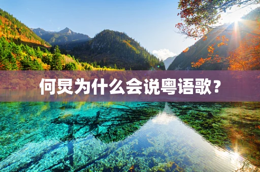 何炅为什么会说粤语歌？