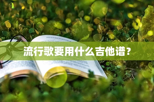 流行歌要用什么吉他谱？