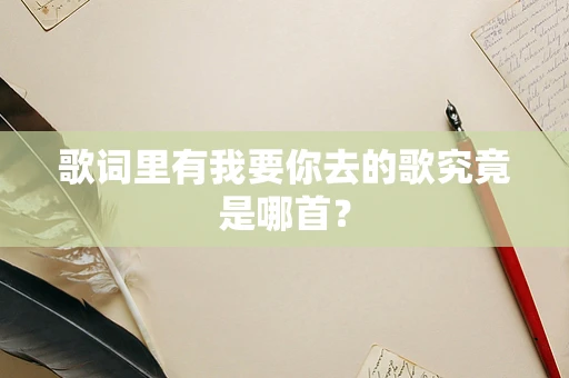歌词里有我要你去的歌究竟是哪首？