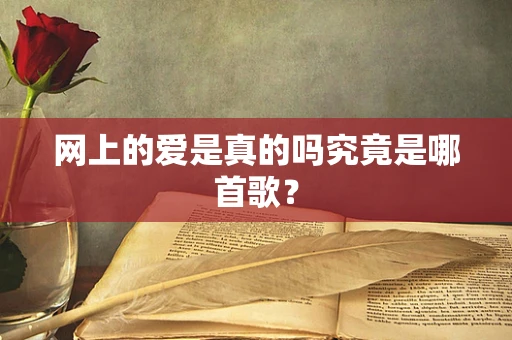 网上的爱是真的吗究竟是哪首歌？