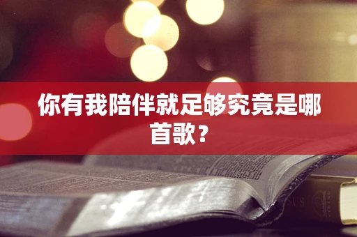 你有我陪伴就足够究竟是哪首歌？