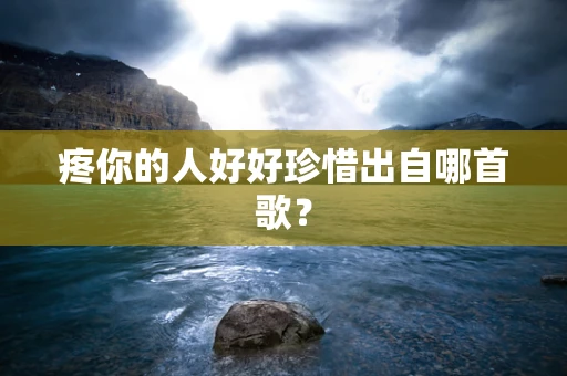 疼你的人好好珍惜出自哪首歌？