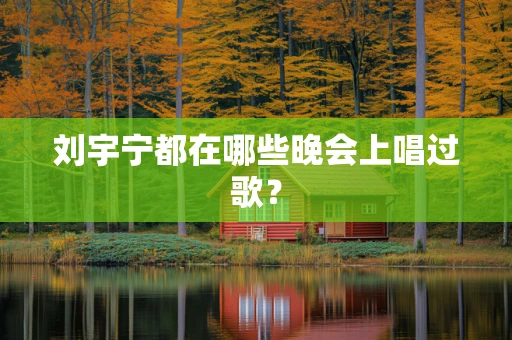刘宇宁都在哪些晚会上唱过歌？