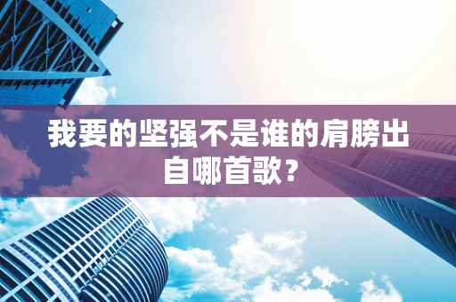 我要的坚强不是谁的肩膀出自哪首歌？