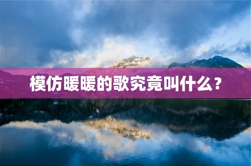 模仿暖暖的歌究竟叫什么？
