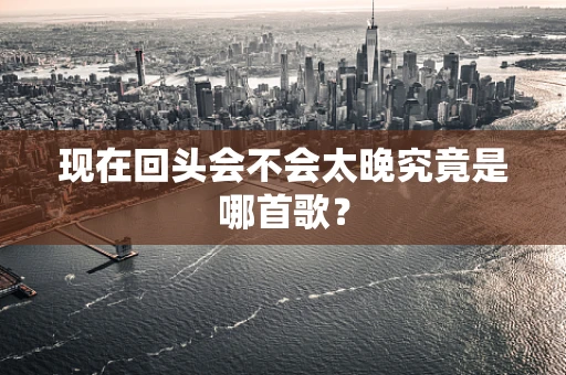 现在回头会不会太晚究竟是哪首歌？