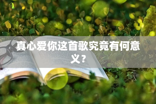 真心爱你这首歌究竟有何意义？
