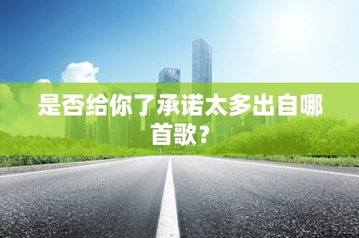 是否给你了承诺太多出自哪首歌？