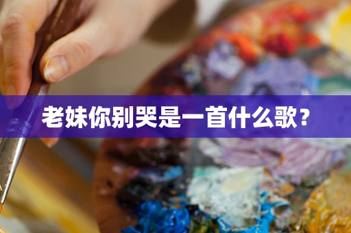 老妹你别哭是一首什么歌？