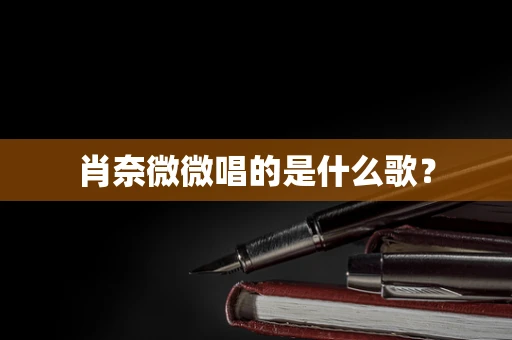 肖奈微微唱的是什么歌？
