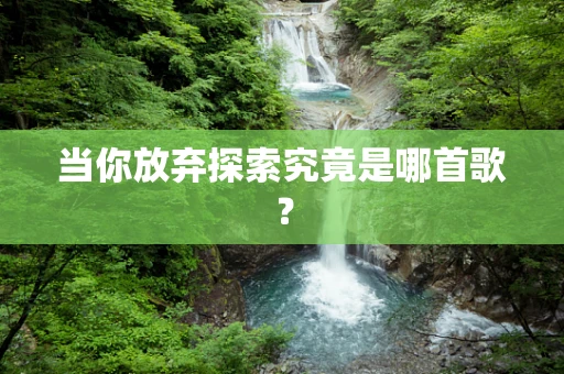 当你放弃探索究竟是哪首歌？