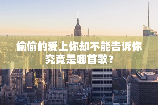 偷偷的爱上你却不能告诉你究竟是哪首歌？