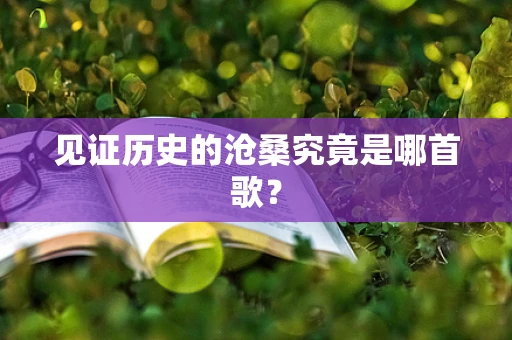 见证历史的沧桑究竟是哪首歌？
