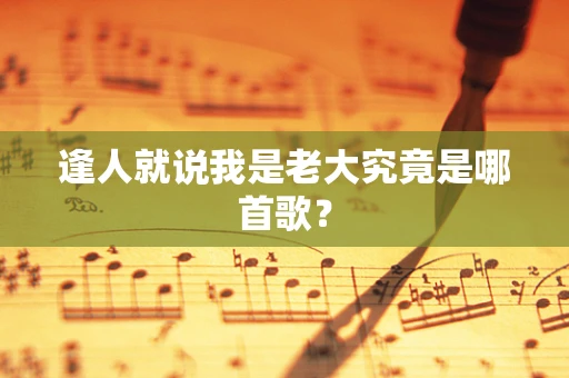 逢人就说我是老大究竟是哪首歌？