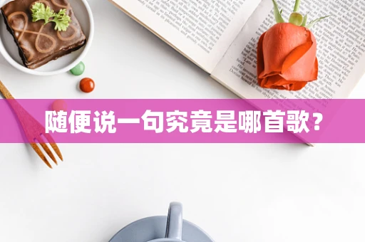 随便说一句究竟是哪首歌？