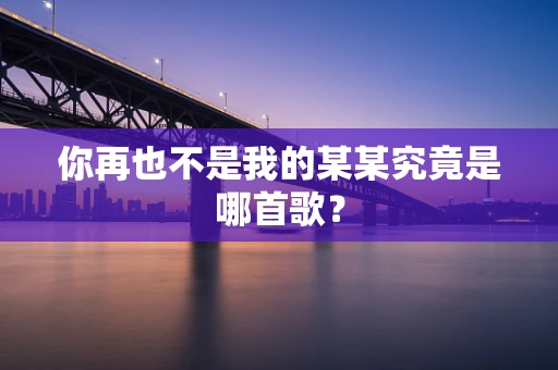 你再也不是我的某某究竟是哪首歌？