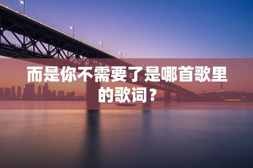 而是你不需要了是哪首歌里的歌词？