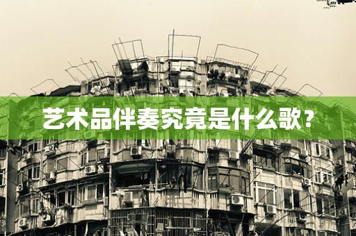 艺术品伴奏究竟是什么歌？
