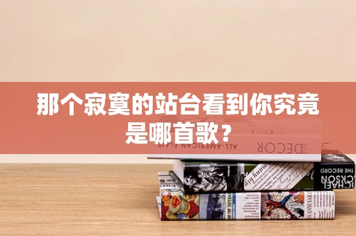那个寂寞的站台看到你究竟是哪首歌？