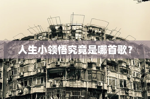 人生小领悟究竟是哪首歌？