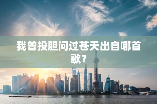 我曾投胆问过苍天出自哪首歌？