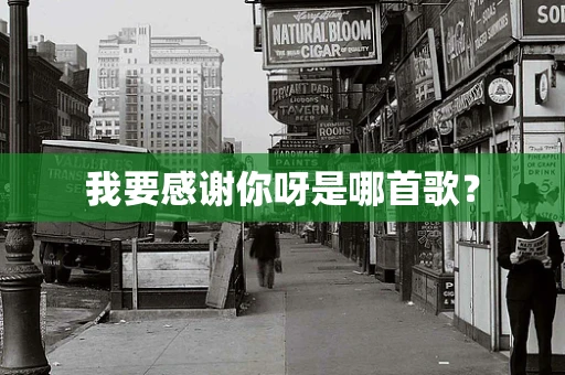 我要感谢你呀是哪首歌？