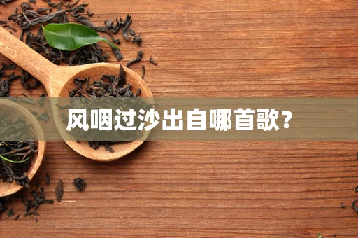 风咽过沙出自哪首歌？