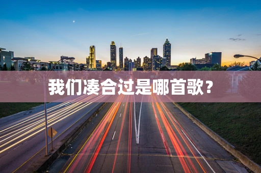 我们凑合过是哪首歌？