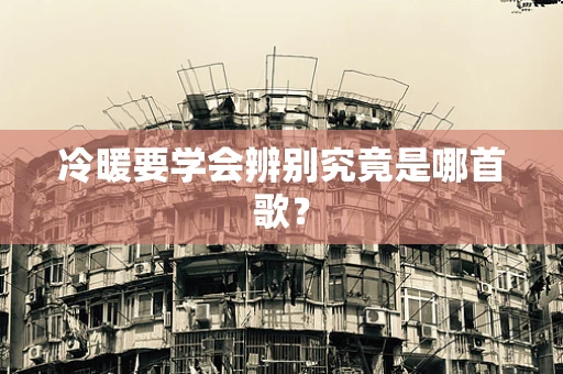 冷暖要学会辨别究竟是哪首歌？