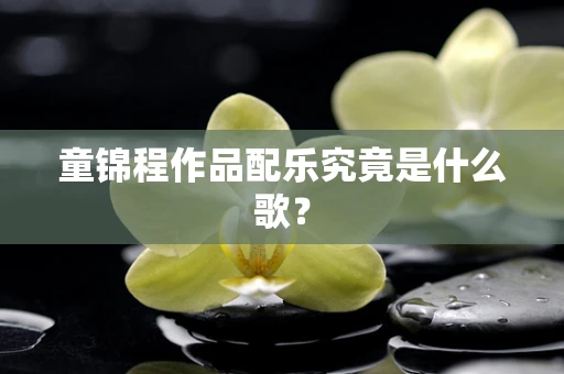 童锦程作品配乐究竟是什么歌？