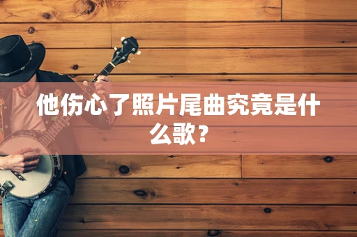 他伤心了照片尾曲究竟是什么歌？