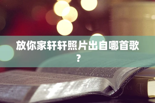 放你家轩轩照片出自哪首歌？