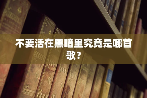 不要活在黑暗里究竟是哪首歌？
