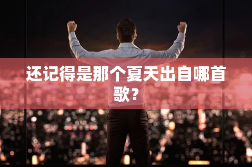 还记得是那个夏天出自哪首歌？