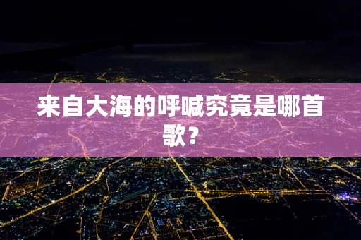来自大海的呼喊究竟是哪首歌？