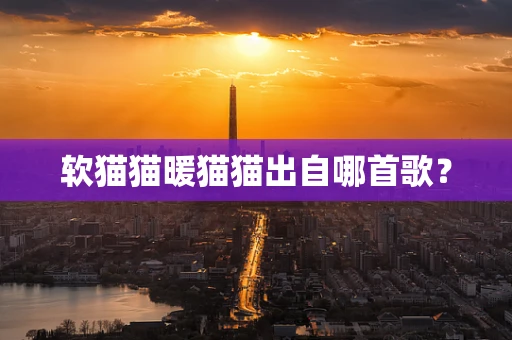 软猫猫暖猫猫出自哪首歌？