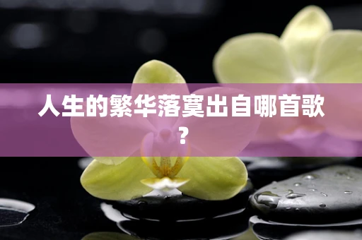 人生的繁华落寞出自哪首歌？