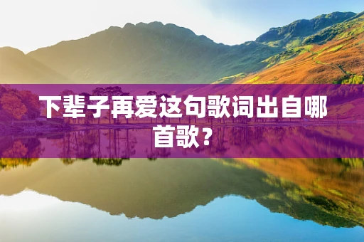 下辈子再爱这句歌词出自哪首歌？