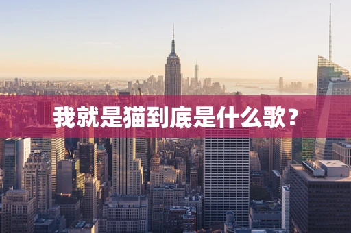 我就是猫到底是什么歌？